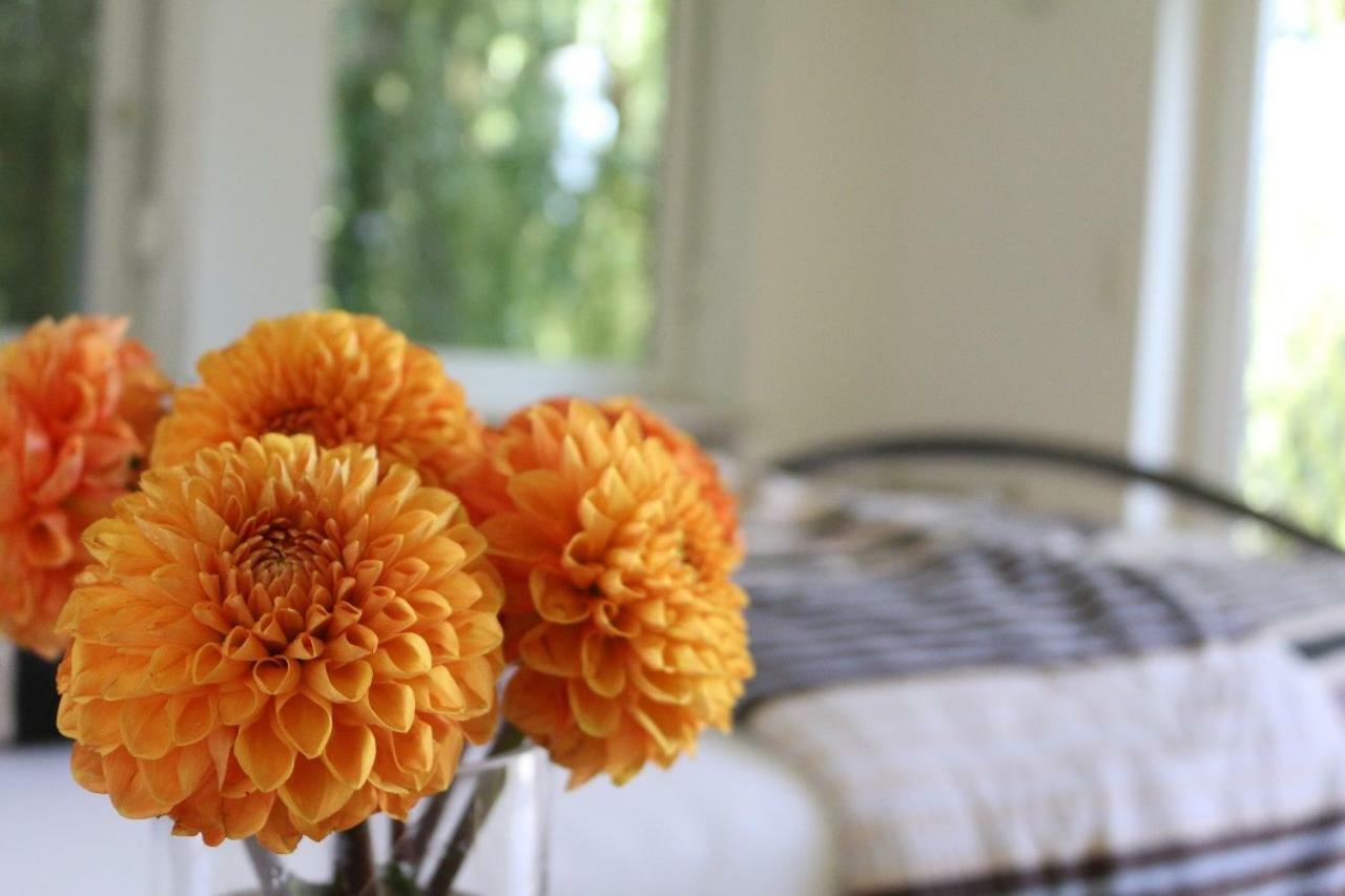 Ferienwohnung Amperblick フュルステンフェルトブルック エクステリア 写真